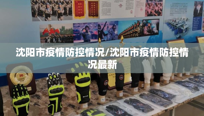 沈阳市疫情防控情况/沈阳市疫情防控情况最新
