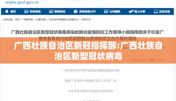 广西壮族自治区新冠指挥部:广西壮族自治区新型冠状病毒