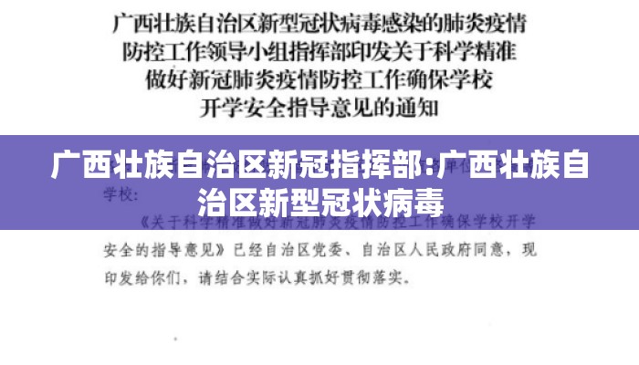 广西壮族自治区新冠指挥部:广西壮族自治区新型冠状病毒 广西壮族自治区新冠指挥部:广西壮族自治区新型冠状病毒