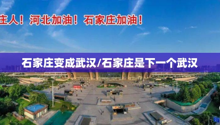 石家庄变成武汉/石家庄是下一个武汉