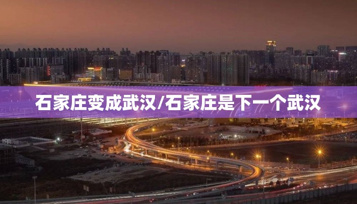 石家庄变成武汉/石家庄是下一个武汉