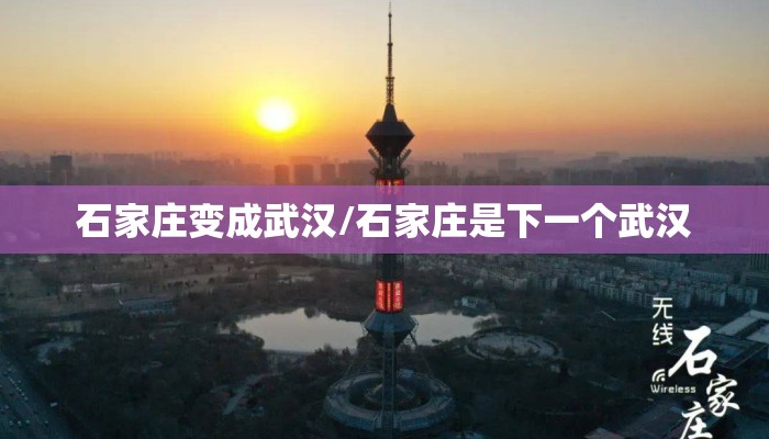 石家庄变成武汉/石家庄是下一个武汉