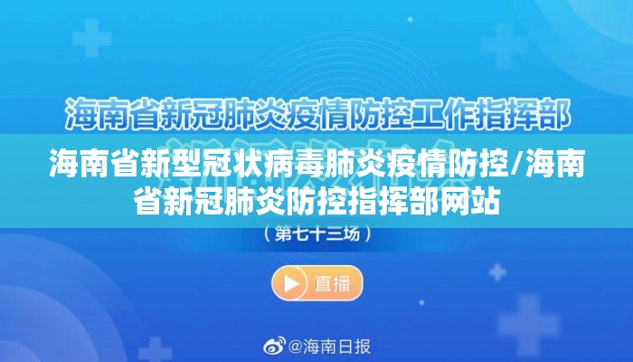 海南省新型冠状病毒肺炎疫情防控/海南省新冠肺炎防控指挥部网站