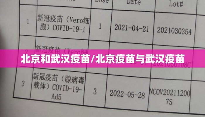 北京和武汉疫苗/北京疫苗与武汉疫苗