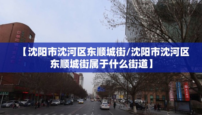【沈阳市沈河区东顺城街/沈阳市沈河区东顺城街属于什么街道】