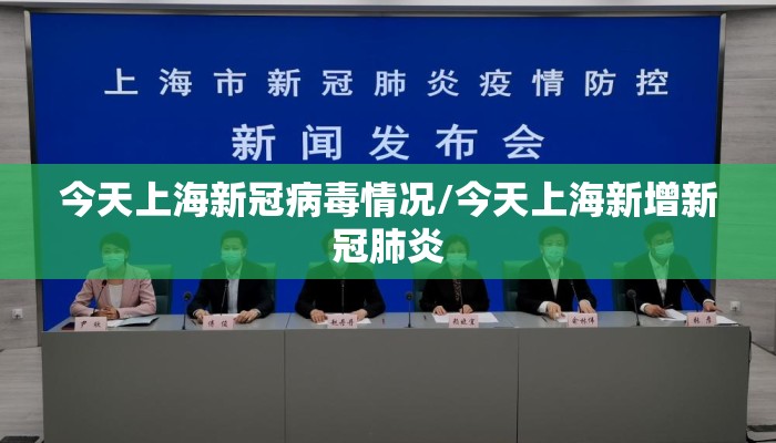 今天上海新冠病毒情况/今天上海新增新冠肺炎 今天上海新冠病毒情况/今天上海新增新冠肺炎