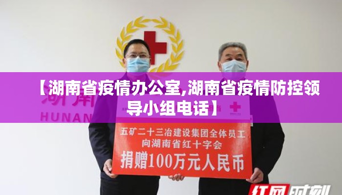 【湖南省疫情办公室,湖南省疫情防控领导小组电话】 【湖南省疫情办公室,湖南省疫情防控领导小组电话】