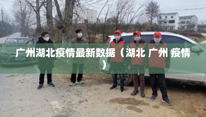 广州湖北疫情最新数据（湖北 广州 疫情）