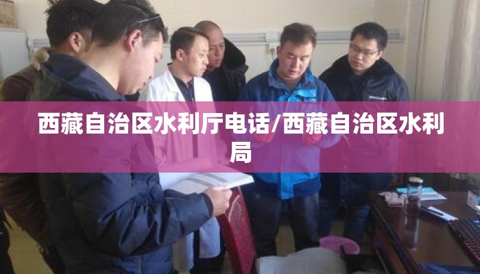 西藏自治区水利厅电话/西藏自治区水利局 西藏自治区水利厅电话/西藏自治区水利局