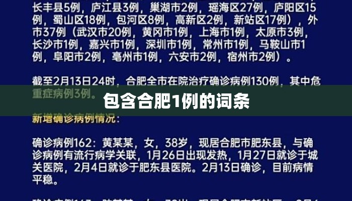 包含合肥1例的词条