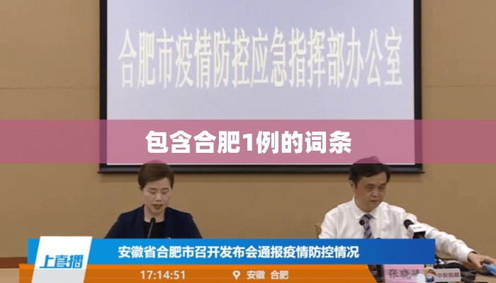 包含合肥1例的词条 包含合肥1例的词条