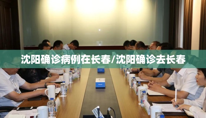 沈阳确诊病例在长春/沈阳确诊去长春