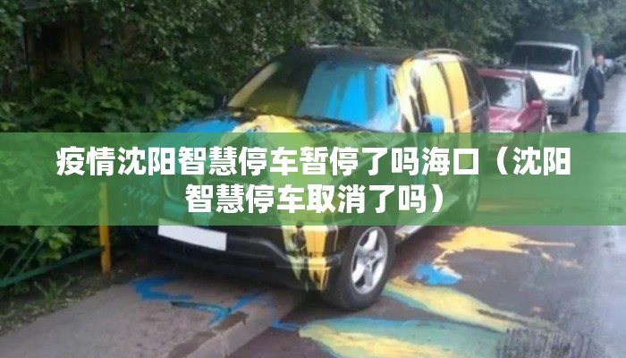 疫情沈阳智慧停车暂停了吗海口（沈阳智慧停车取消了吗）