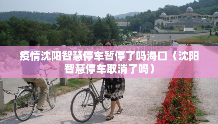疫情沈阳智慧停车暂停了吗海口（沈阳智慧停车取消了吗）