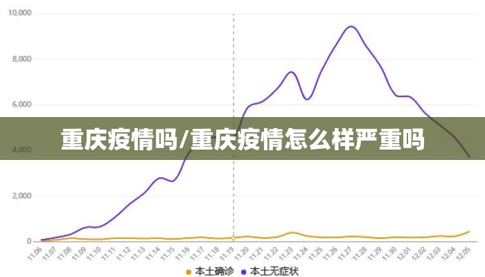 重庆疫情吗/重庆疫情怎么样严重吗