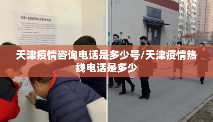 天津疫情咨询电话是多少号/天津疫情热线电话是多少 天津疫情咨询电话是多少号/天津疫情热线电话是多少