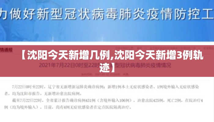【沈阳今天新增几例,沈阳今天新增3例轨迹】