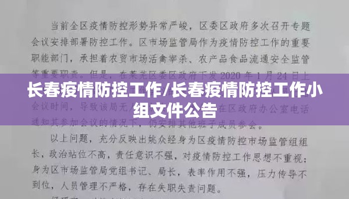 长春疫情防控工作/长春疫情防控工作小组文件公告 长春疫情防控工作/长春疫情防控工作小组文件公告
