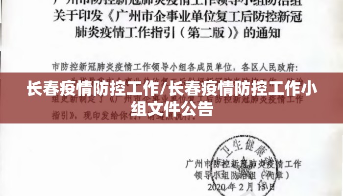 长春疫情防控工作/长春疫情防控工作小组文件公告 长春疫情防控工作/长春疫情防控工作小组文件公告