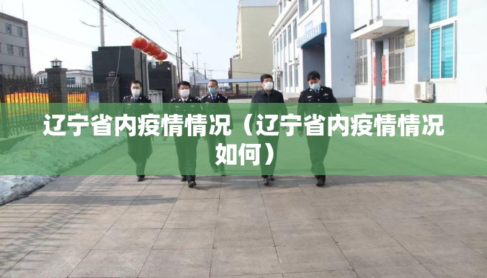 辽宁省内疫情情况（辽宁省内疫情情况如何）