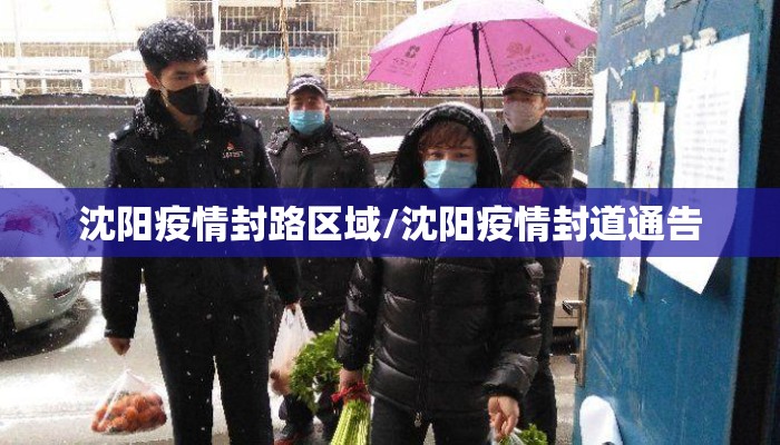 沈阳疫情封路区域/沈阳疫情封道通告