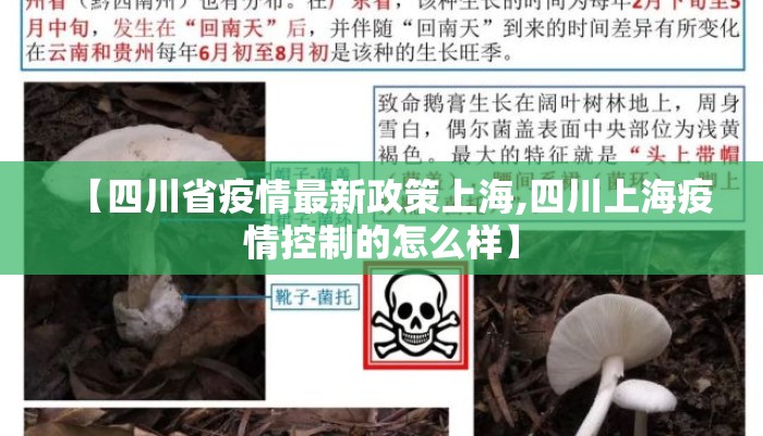 【四川省疫情最新政策上海,四川上海疫情控制的怎么样】 【四川省疫情最新政策上海,四川上海疫情控制的怎么样】