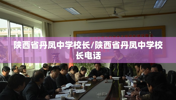 陕西省丹凤中学校长/陕西省丹凤中学校长电话