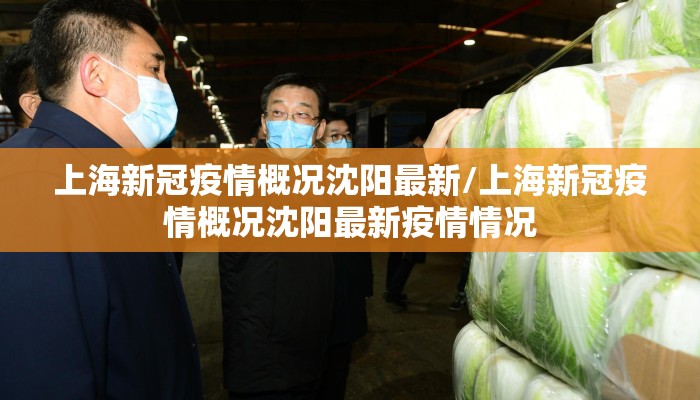 上海新冠疫情概况沈阳最新/上海新冠疫情概况沈阳最新疫情情况