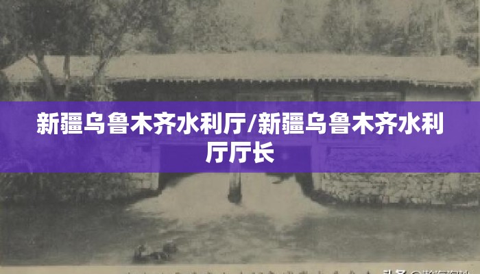 新疆乌鲁木齐水利厅/新疆乌鲁木齐水利厅厅长