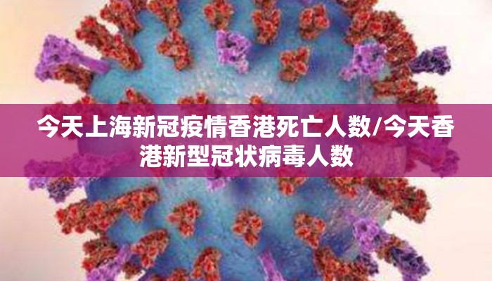 今天上海新冠疫情香港死亡人数/今天香港新型冠状病毒人数