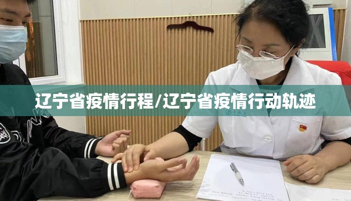 辽宁省疫情行程/辽宁省疫情行动轨迹