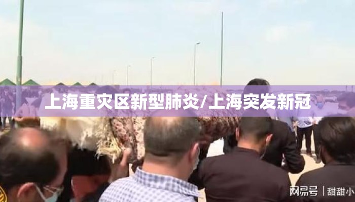 上海重灾区新型肺炎/上海突发新冠