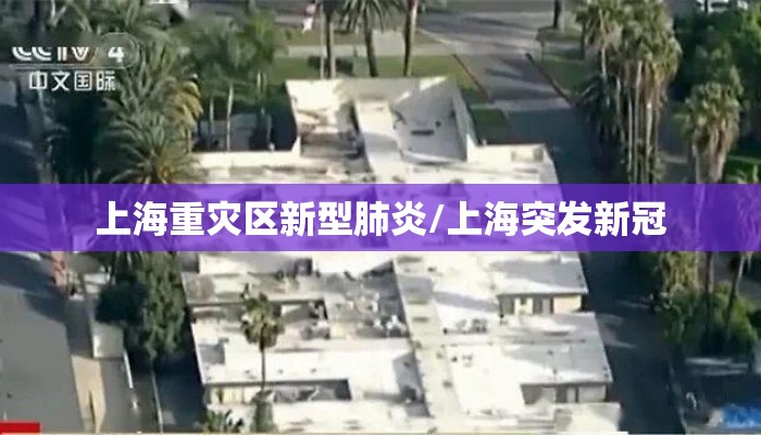 上海重灾区新型肺炎/上海突发新冠 上海重灾区新型肺炎/上海突发新冠