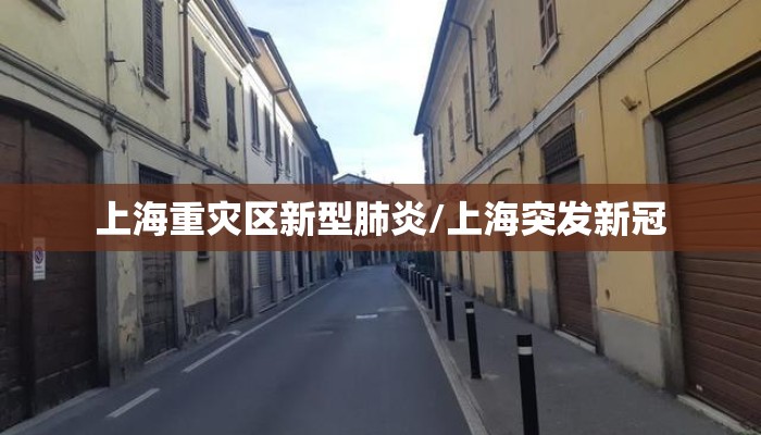 上海重灾区新型肺炎/上海突发新冠 上海重灾区新型肺炎/上海突发新冠