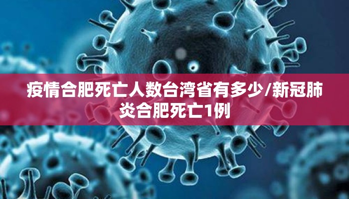 疫情合肥死亡人数台湾省有多少/新冠肺炎合肥死亡1例