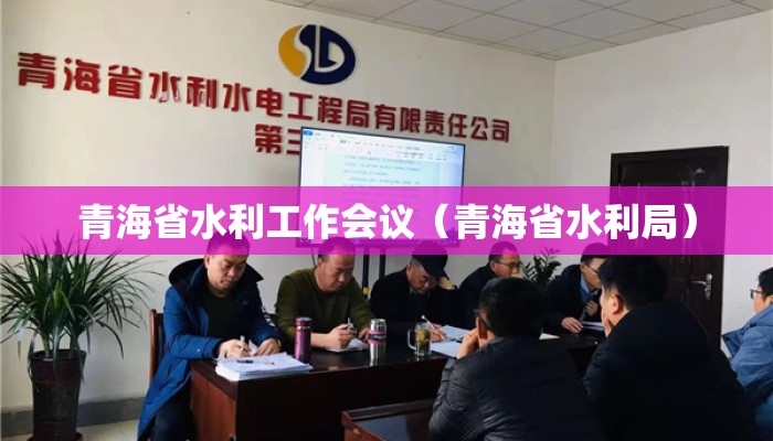 青海省水利工作会议（青海省水利局）
