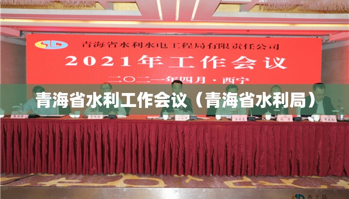 青海省水利工作会议（青海省水利局）