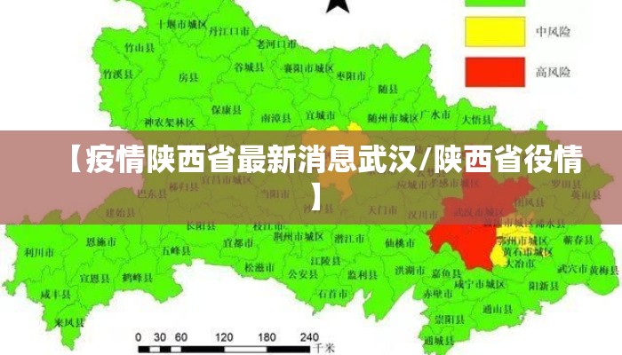 【疫情陕西省最新消息武汉/陕西省役情】