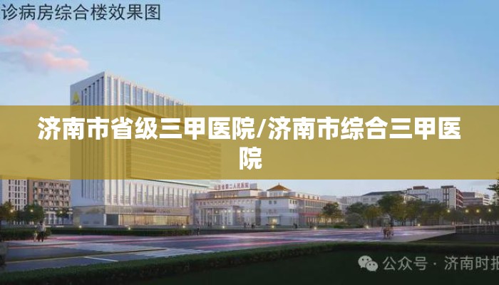 济南市省级三甲医院/济南市综合三甲医院