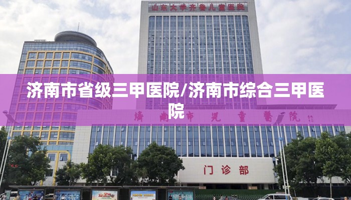 济南市省级三甲医院/济南市综合三甲医院 济南市省级三甲医院/济南市综合三甲医院