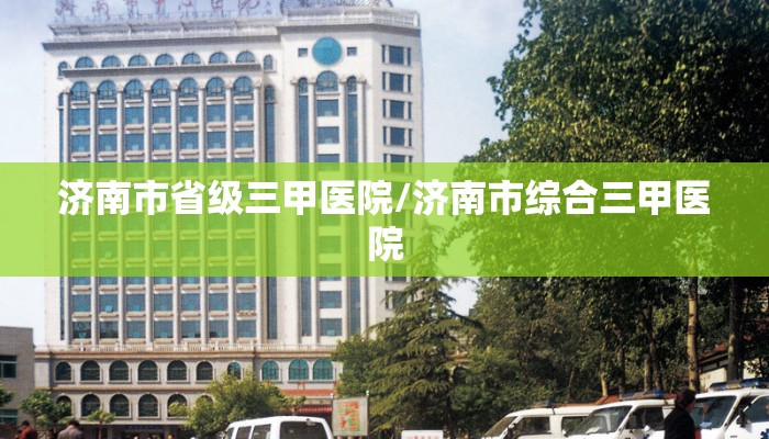 济南市省级三甲医院/济南市综合三甲医院 济南市省级三甲医院/济南市综合三甲医院