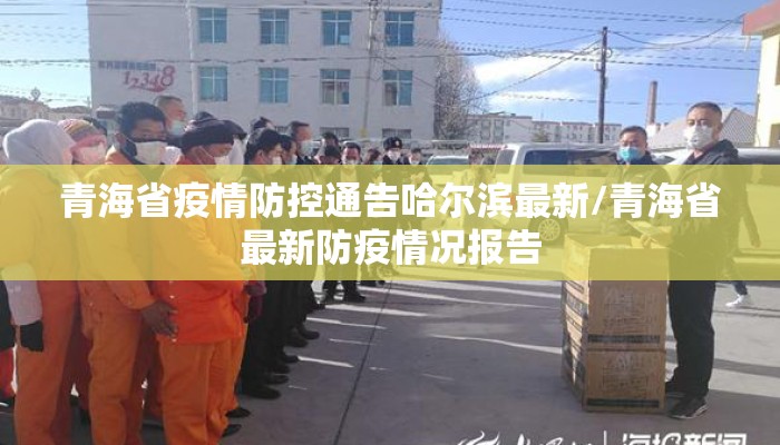 青海省疫情防控通告哈尔滨最新/青海省最新防疫情况报告