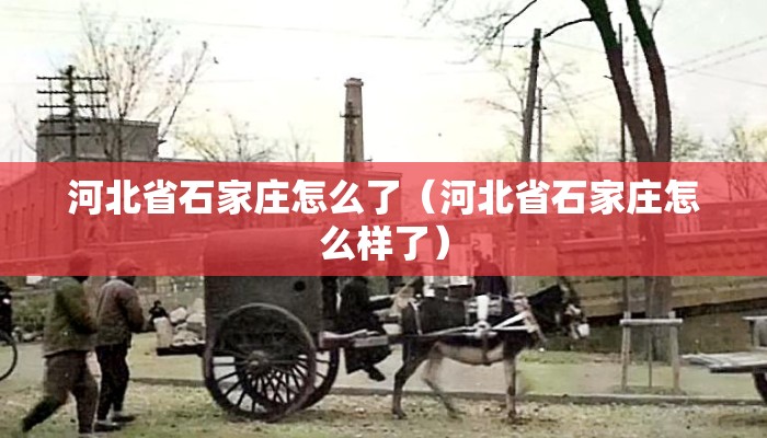 河北省石家庄怎么了(河北省石家庄怎么样了) 河北省石家庄怎么了(河北省石家庄怎么样了)