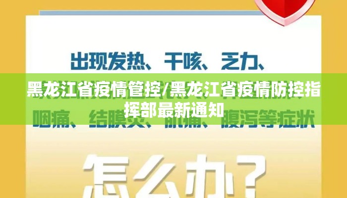 黑龙江省疫情管控/黑龙江省疫情防控指挥部最新通知