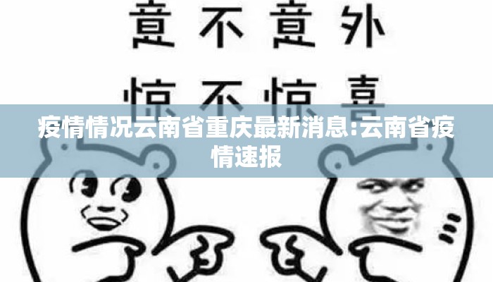 疫情情况云南省重庆最新消息:云南省疫情速报
