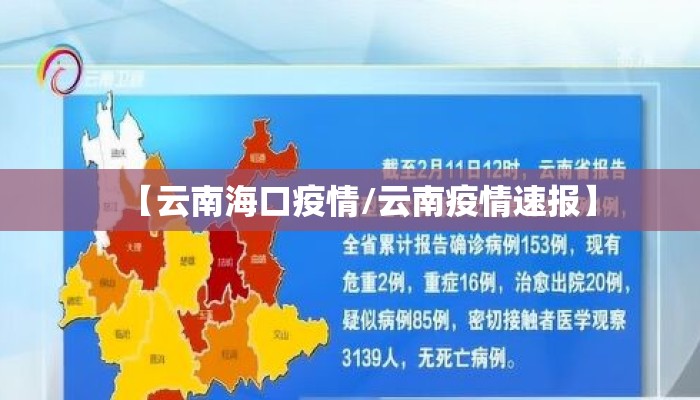 【云南海口疫情/云南疫情速报】
