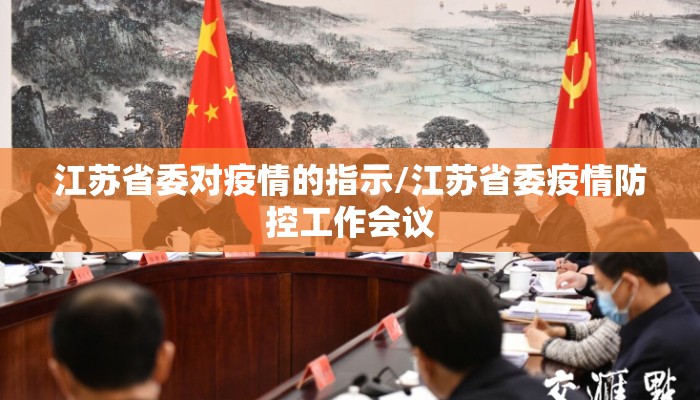 江苏省委对疫情的指示/江苏省委疫情防控工作会议