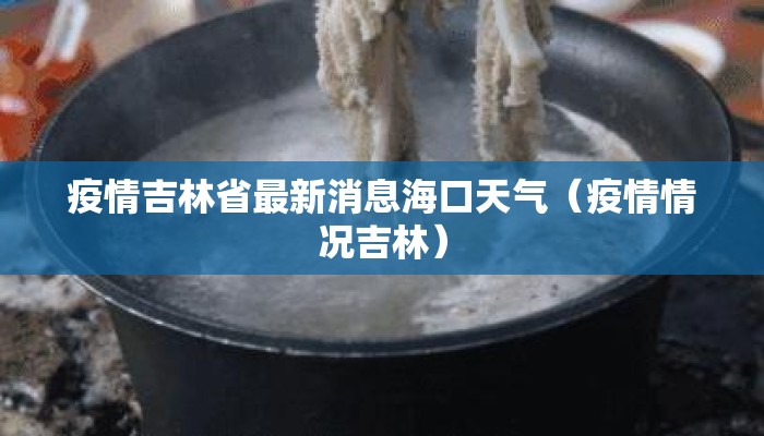 疫情吉林省最新消息海口天气(疫情情况吉林) 疫情吉林省最新消息海口天气(疫情情况吉林)
