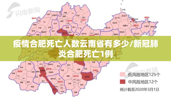 疫情合肥死亡人数云南省有多少/新冠肺炎合肥死亡1例
