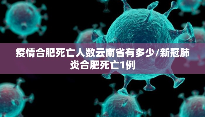疫情合肥死亡人数云南省有多少/新冠肺炎合肥死亡1例 疫情合肥死亡人数云南省有多少/新冠肺炎合肥死亡1例